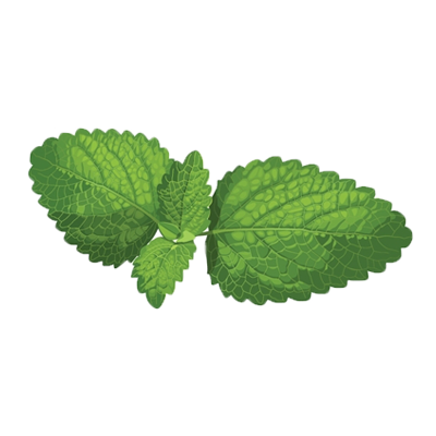 ingredients-icon-Kampek (1)